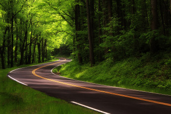 Картинка природа дороги тракт