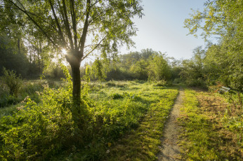 Картинка природа дороги тракт