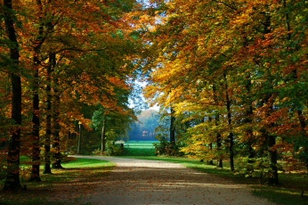 Картинка природа дороги тракт