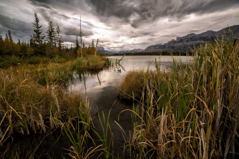 Картинка природа реки озера лес река