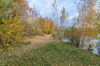 Картинка природа реки озера река лес