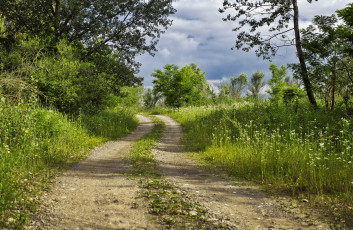 Картинка природа дороги тракт