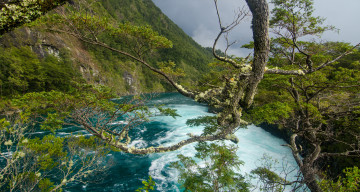 Картинка природа реки озера река лес