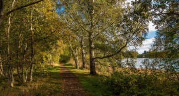 Картинка природа дороги тракт