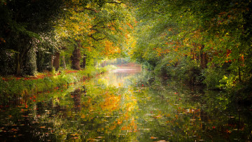 Картинка природа реки озера лес река