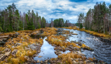 Картинка природа реки озера река лес