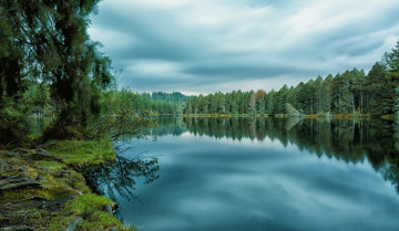 Картинка природа реки озера река лес