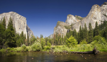 Картинка природа реки озера лес река