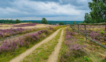 Картинка природа дороги тракт