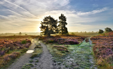 Картинка природа дороги тракт