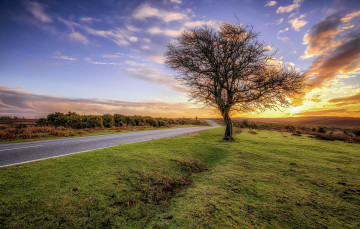 Картинка природа дороги тракт