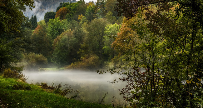 Обои картинки фото природа, реки, озера, река, лес