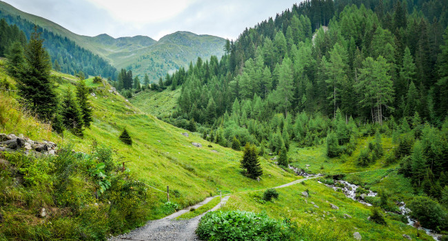 Обои картинки фото природа, дороги, тракт