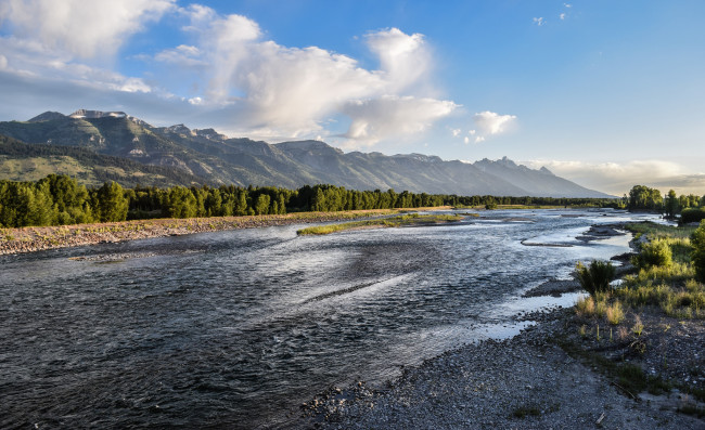 Обои картинки фото природа, реки, озера, река, лес