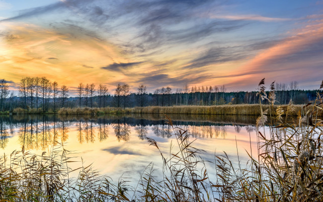 Обои картинки фото природа, реки, озера, лес, река