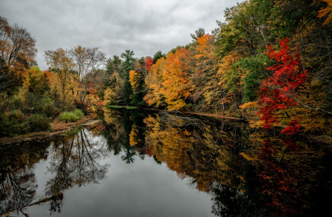 Обои картинки фото природа, реки, озера, река, лес