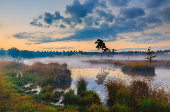 Обои картинки фото природа, реки, озера, лес, река