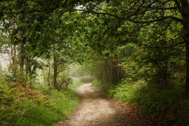 Обои картинки фото природа, дороги, тракт