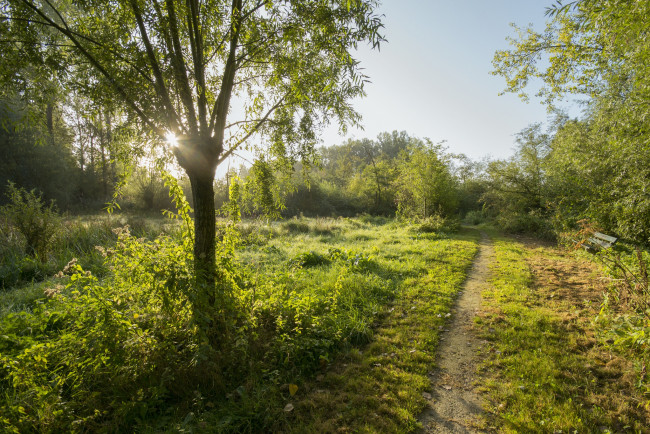 Обои картинки фото природа, дороги, тракт