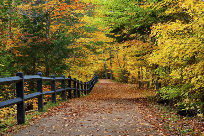 Обои картинки фото природа, дороги, тракт