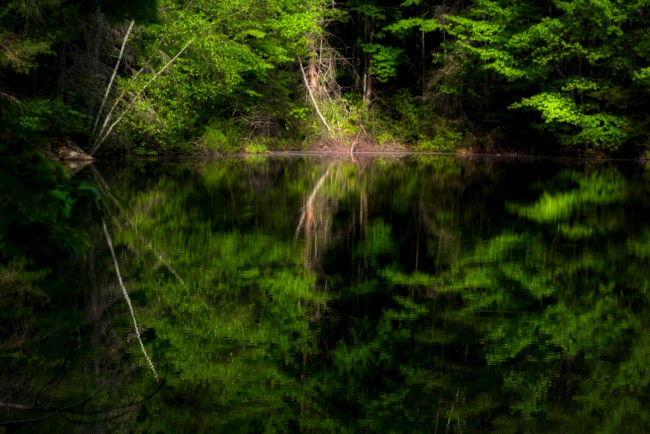 Обои картинки фото природа, реки, озера, лес, река