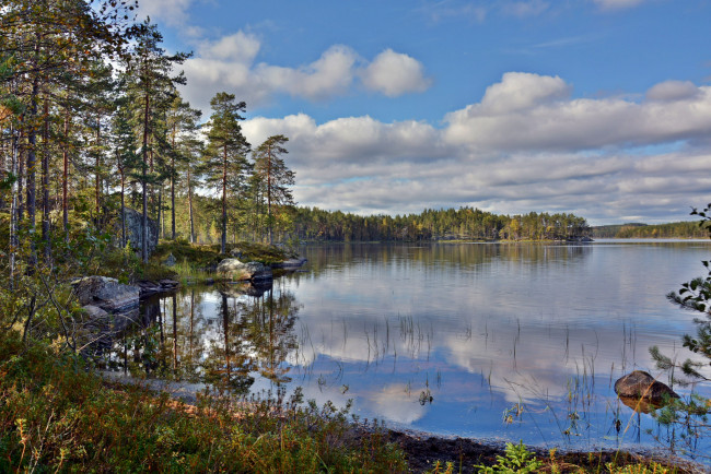 Обои картинки фото природа, реки, озера, река, лес