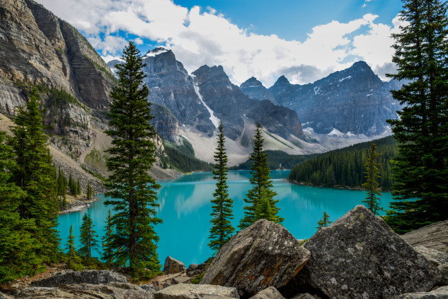 Обои картинки фото природа, реки, озера, река, лес