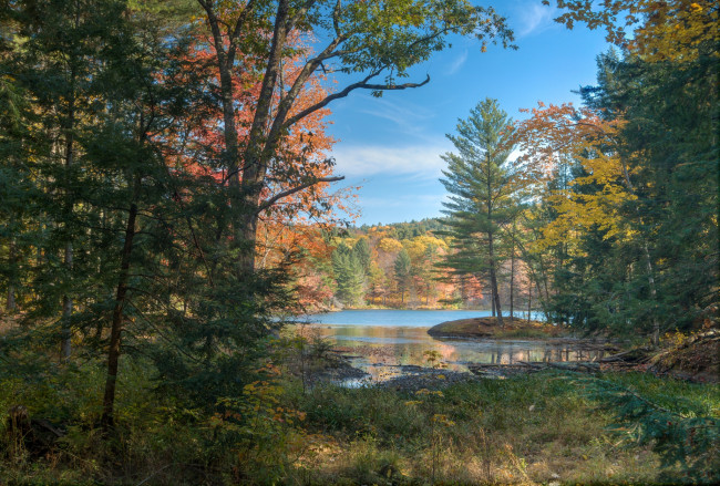 Обои картинки фото природа, реки, озера, река, лес