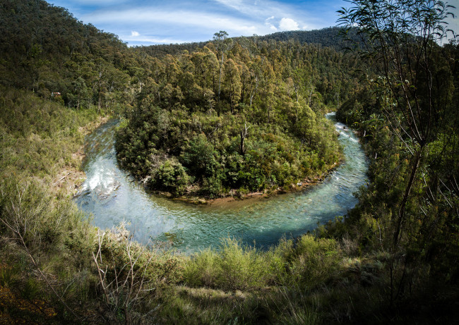 Обои картинки фото природа, реки, озера, река, лес