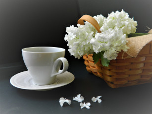 Картинка еда кофе +кофейные+зёрна напиток чашка