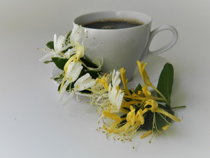 Картинка еда кофе +кофейные+зёрна напиток чашка