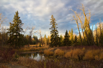 Картинка природа реки озера простор