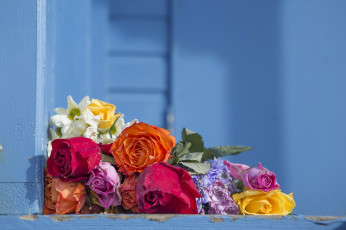 Картинка цветы разные+вместе фон цвет