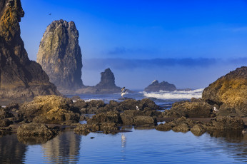 Картинка природа реки озера простор