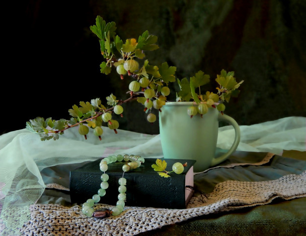 Обои картинки фото еда, крыжовник, книга, чашка, бусы