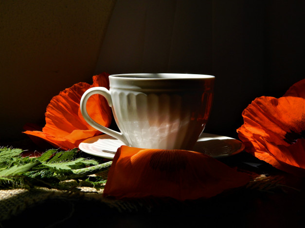 Обои картинки фото еда, кофе,  кофейные зёрна, напиток, чашка