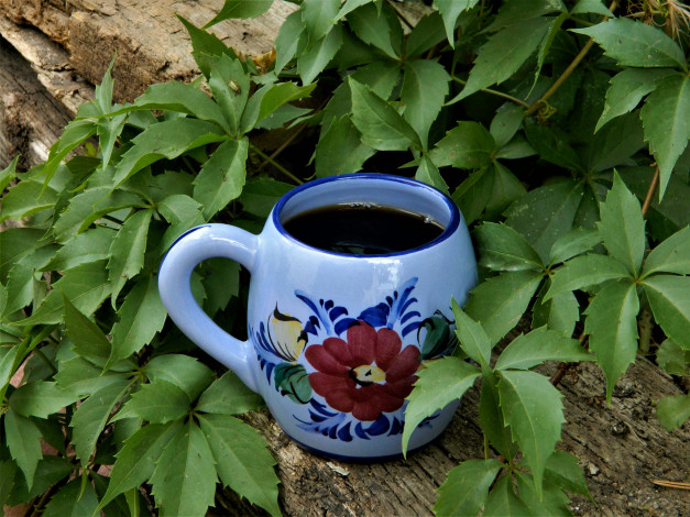 Обои картинки фото еда, кофе,  кофейные зёрна, напиток, чашка