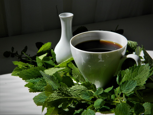 Обои картинки фото еда, кофе,  кофейные зёрна, напиток, чашка