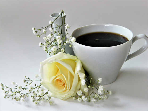 Обои картинки фото еда, кофе,  кофейные зёрна, напиток, чашка