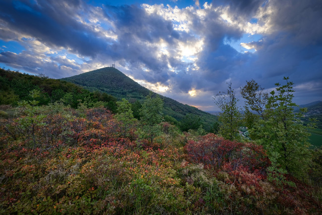 Обои картинки фото природа, пейзажи, простор