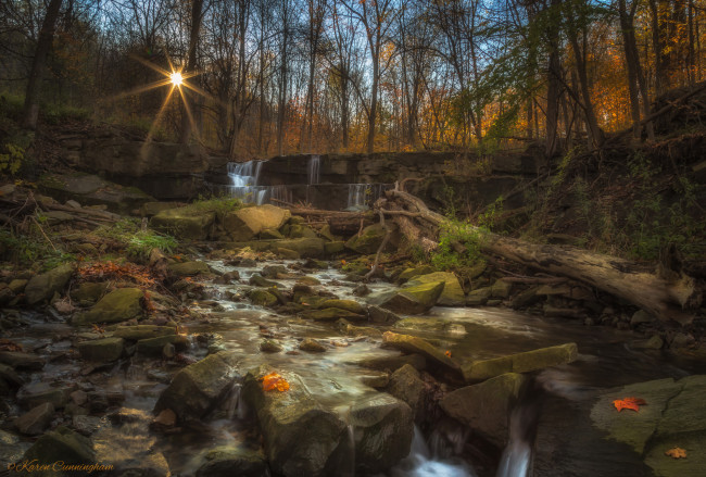 Обои картинки фото природа, лес, простор