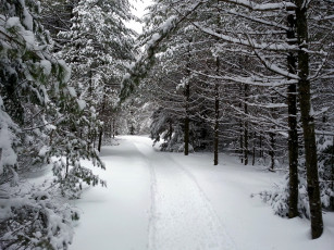 Картинка природа зима снег