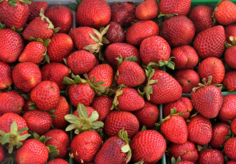 Картинка еда клубника +земляника