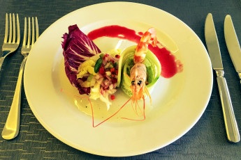 Картинка еда салаты +закуски закуска