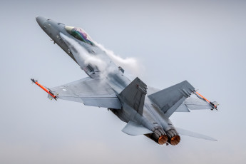 Картинка hornet авиация боевые+самолёты ввс