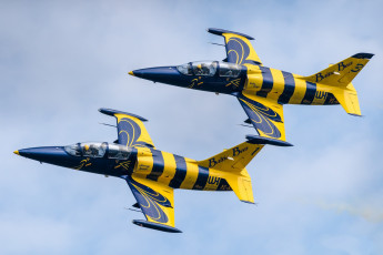 Картинка l-39c+albatross авиация боевые+самолёты ввс