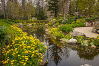 Картинка природа парк простор