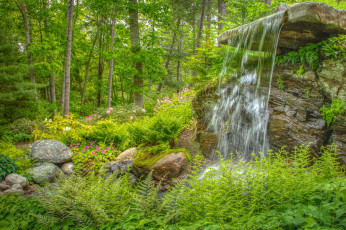 Картинка природа лес простор