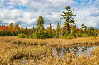 Картинка природа реки озера простор