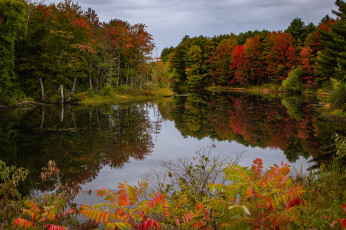 Картинка природа реки озера простор